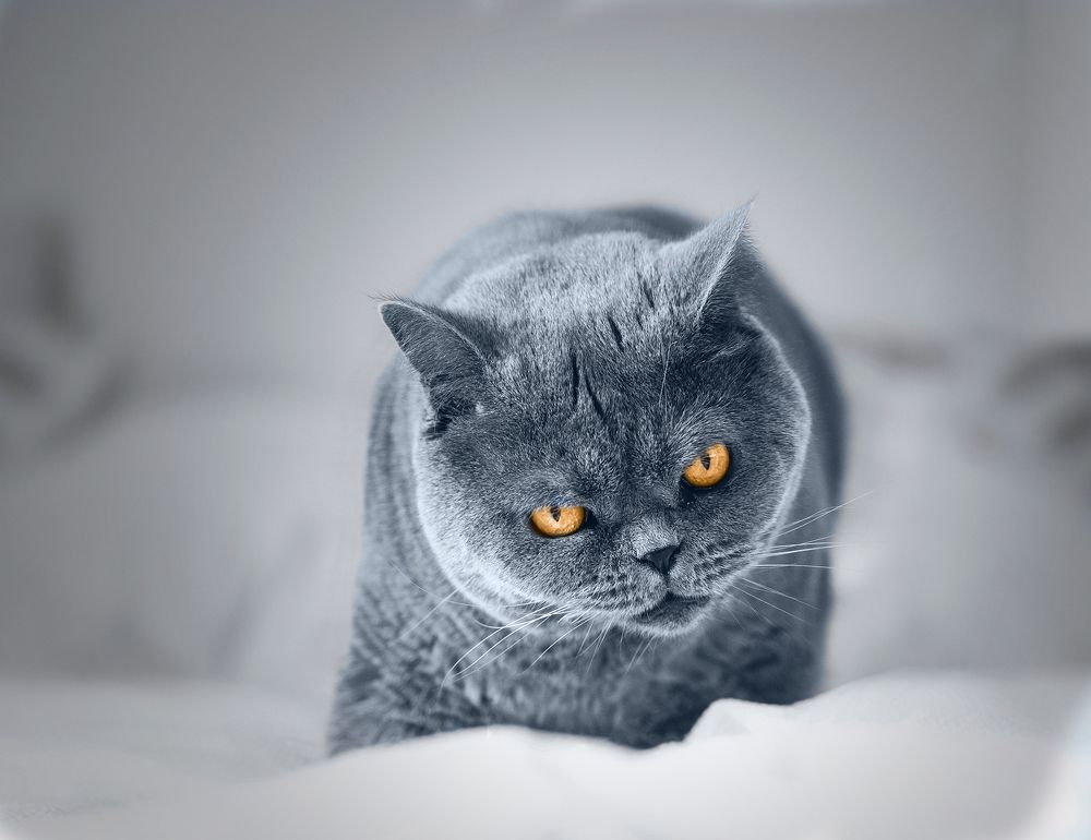 Photograph by Monika Fiba