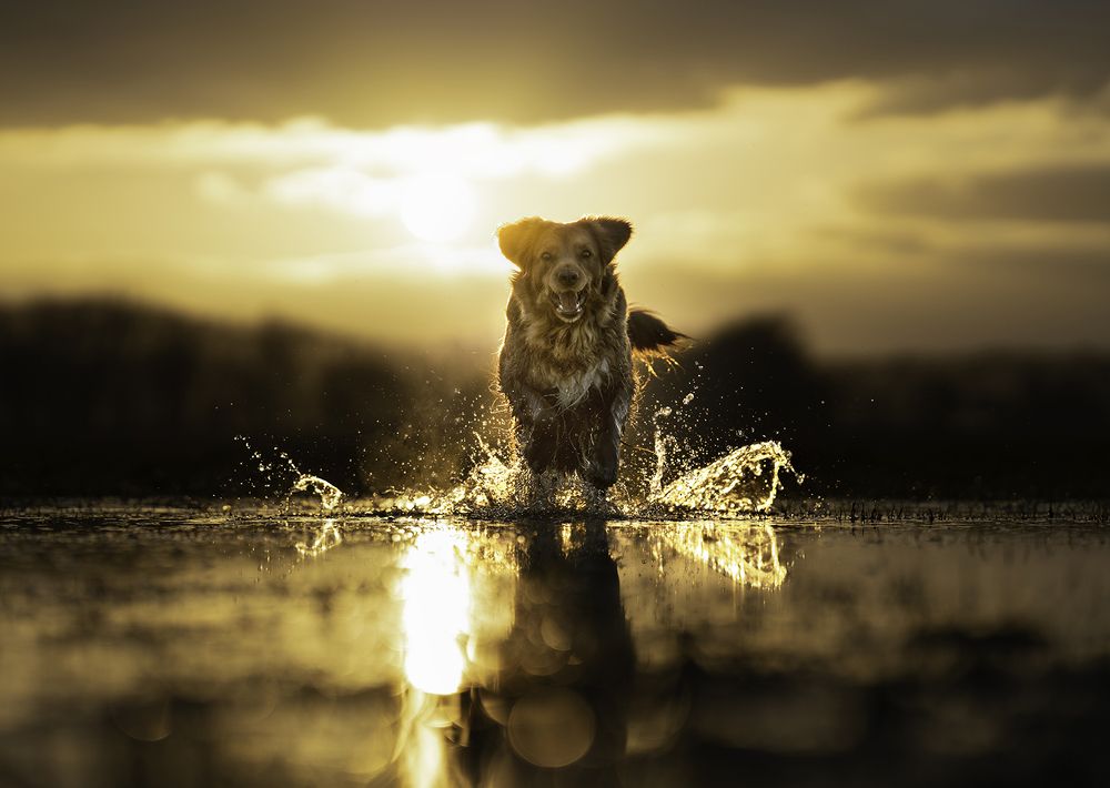 Photograph by Jacqueline Ruediger