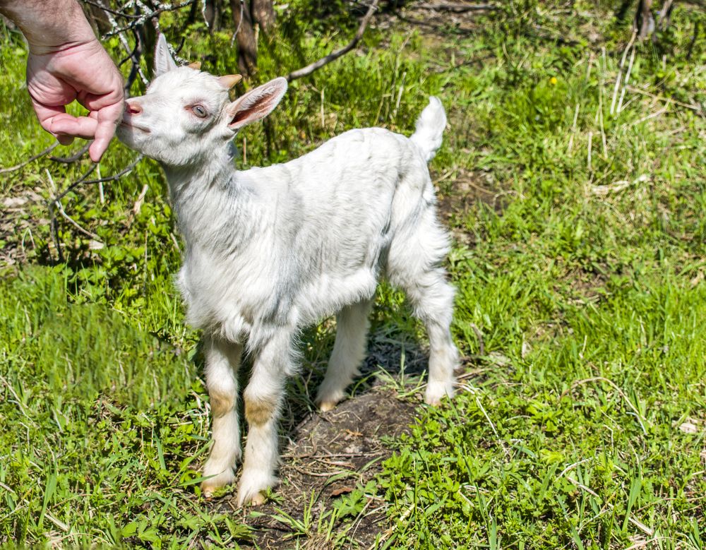 Photograph by Елена Чудиновских