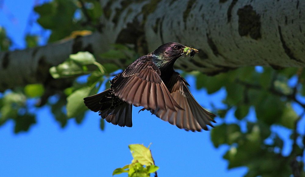 Photograph by Galina Tsmyg