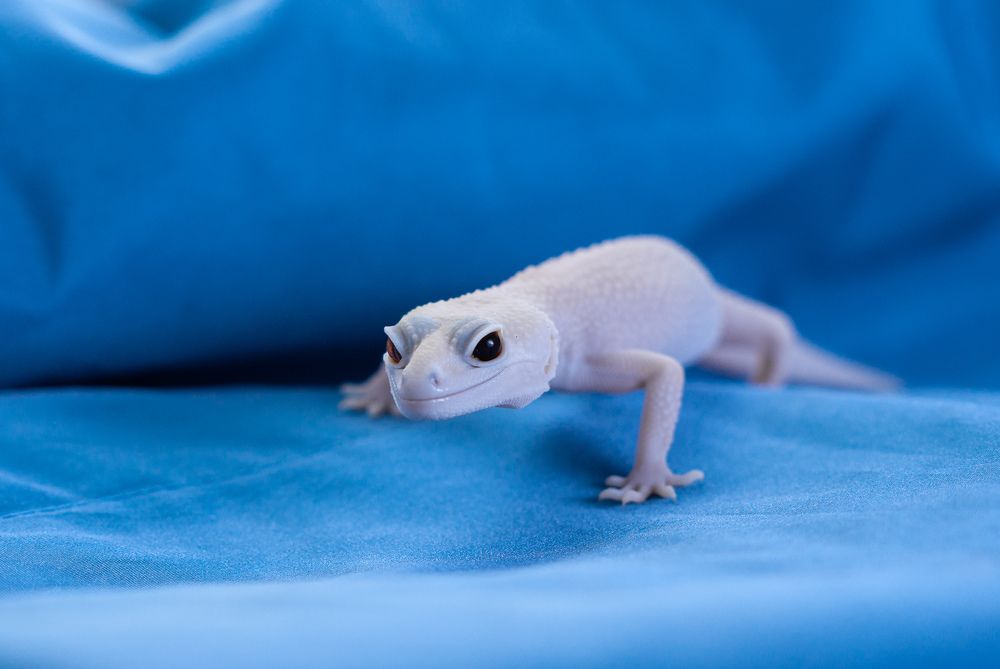 Фотография автора Наталья