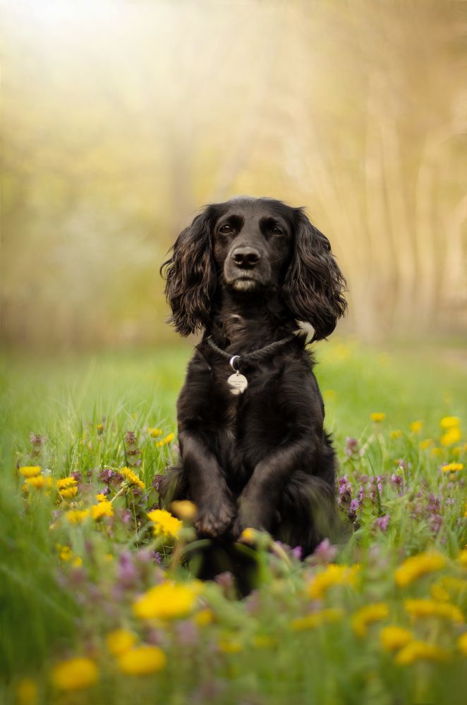 Photograph by Maryna