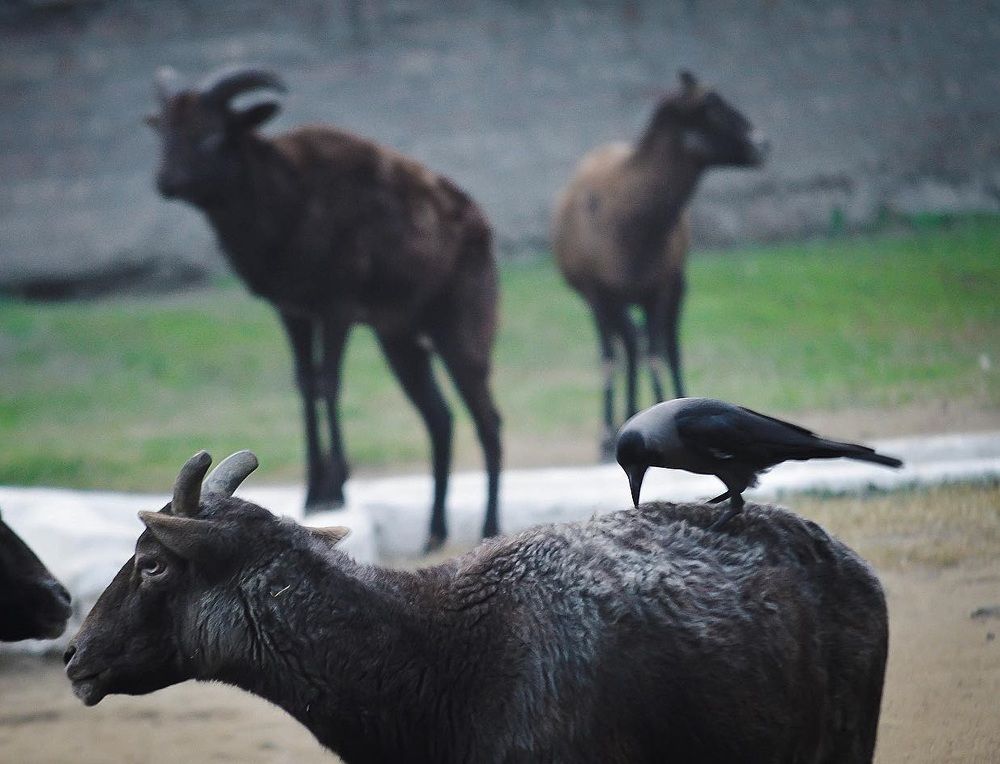 Photograph by Ibtesam usama