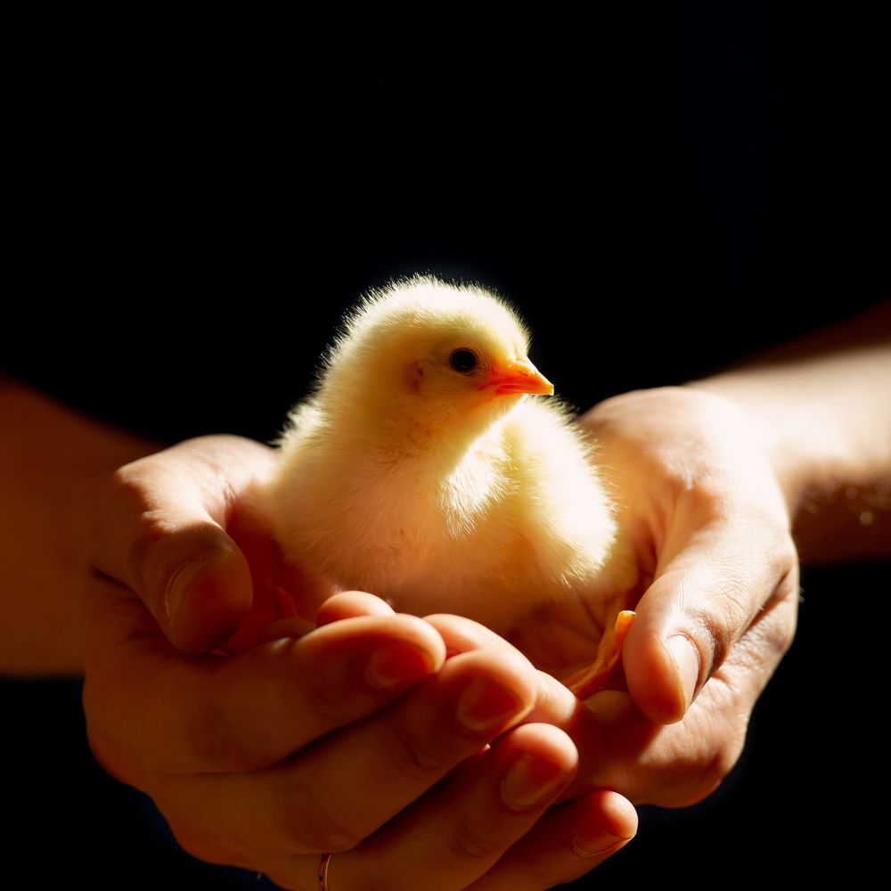 Photograph by Лена Волкова