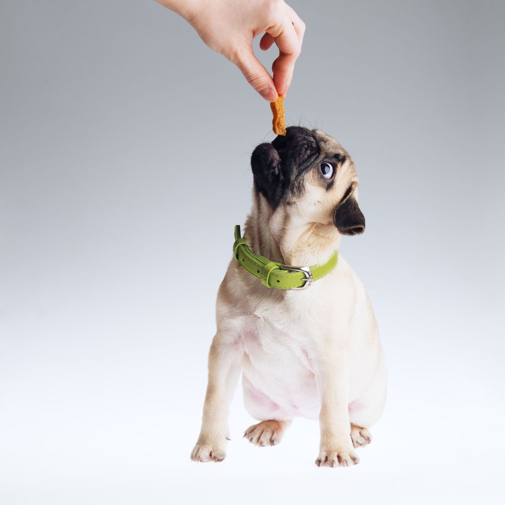 Photograph by Лена Волкова