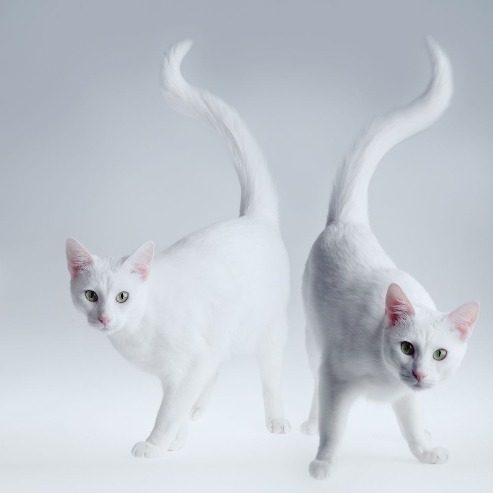 Photograph by Лена Волкова