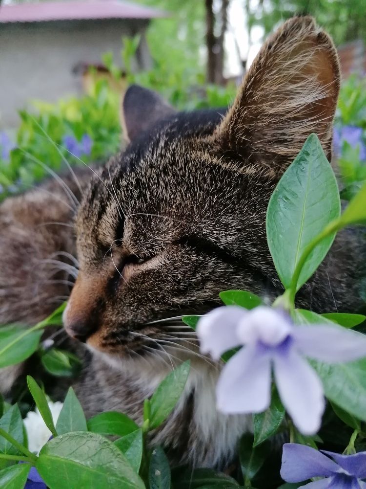 Photograph by Анастасия