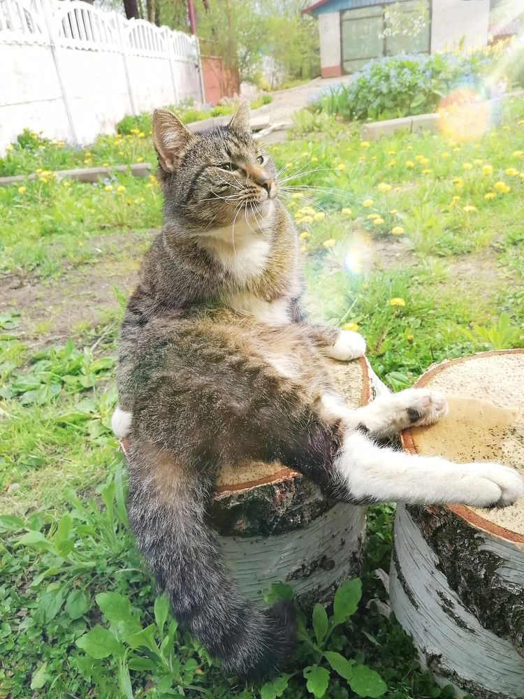 Photograph by Анастасия