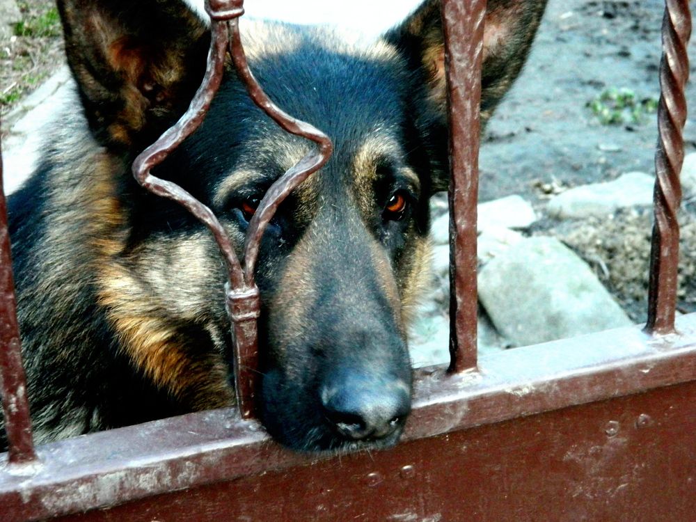 Photograph by Сергей Рапопорт