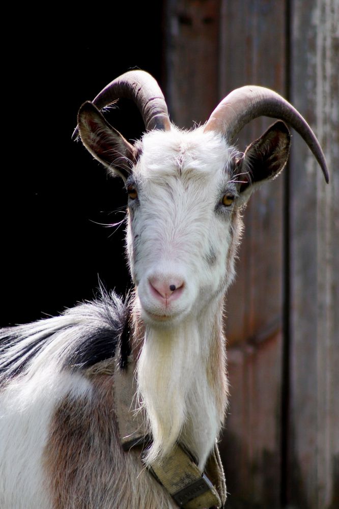 Photograph by Светлана Лебедева