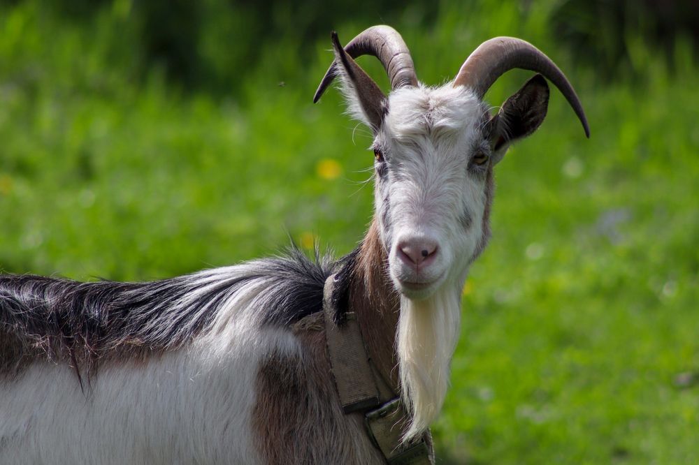 Photograph by Светлана Лебедева