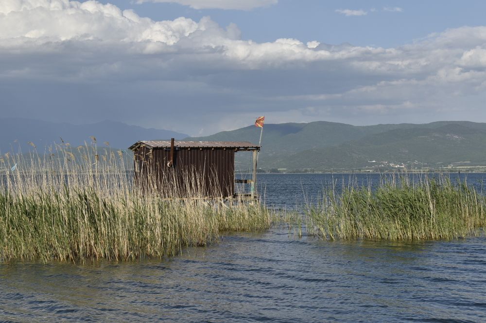 Photograph by Daniela Stanojkovska