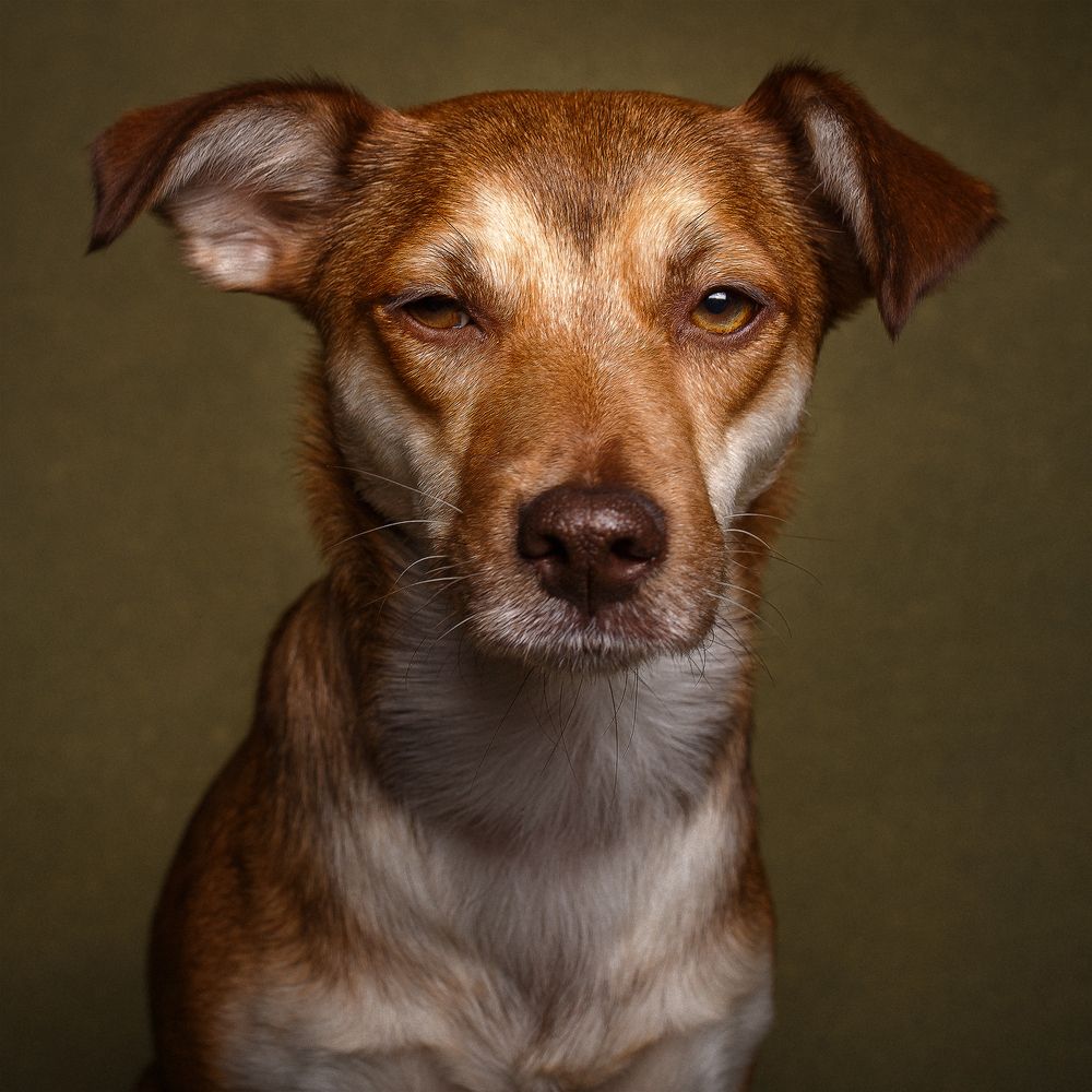 Photograph by Паршина Настасья