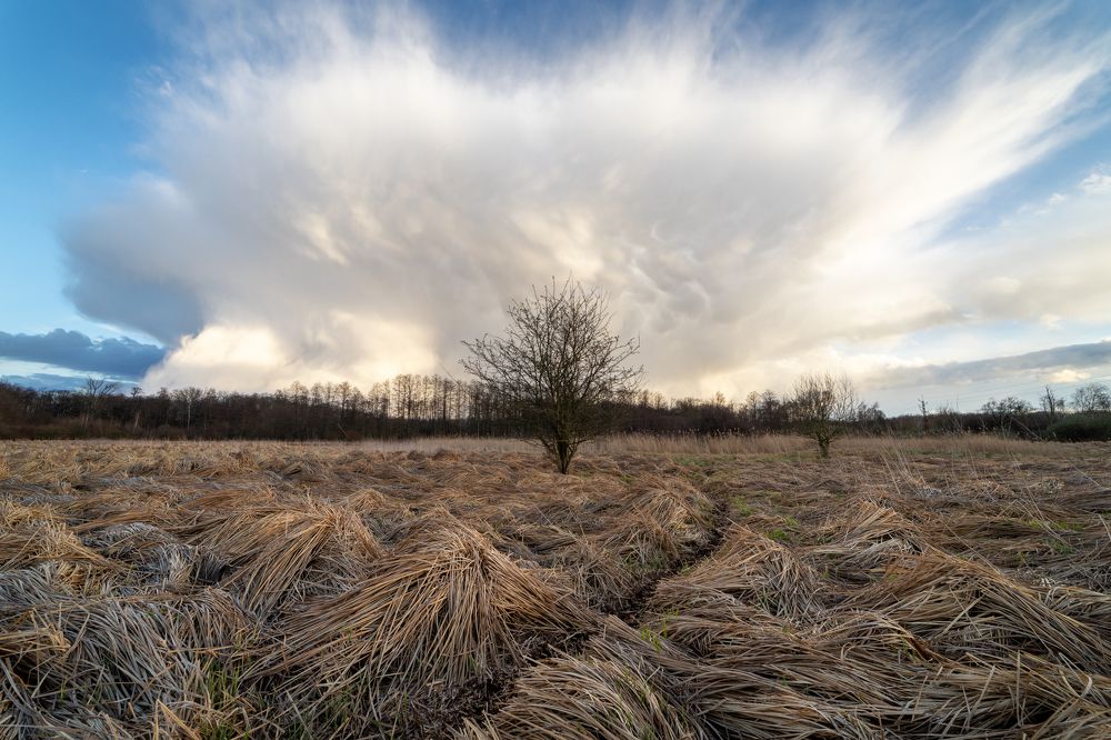 Snowstorm cloud