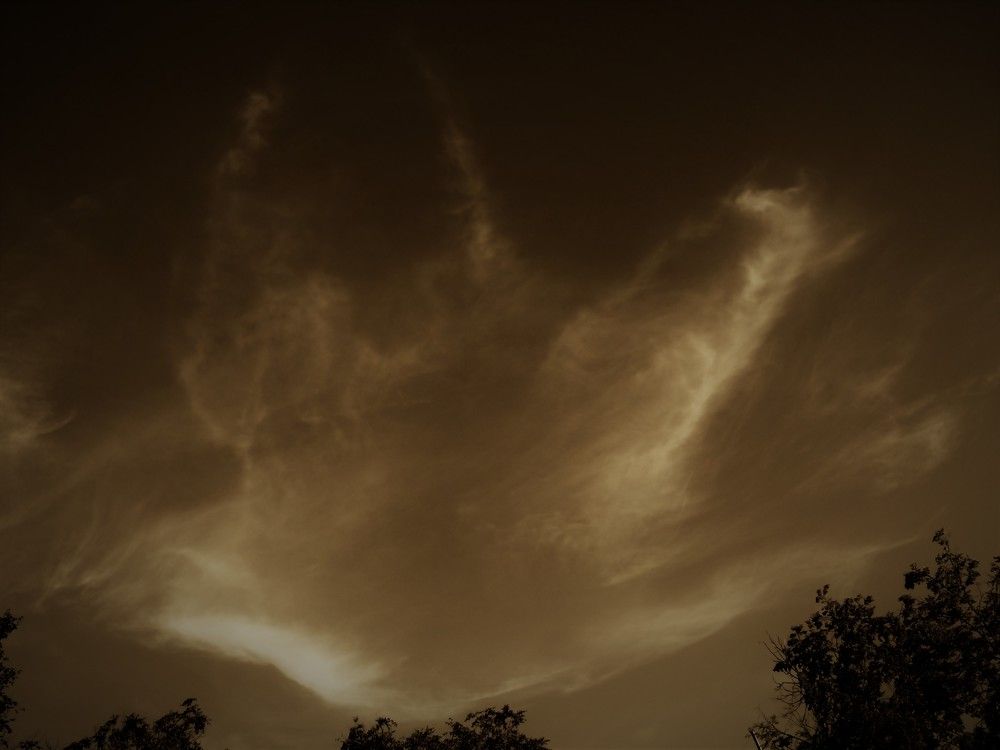 Photograph by Марина Игнатьева