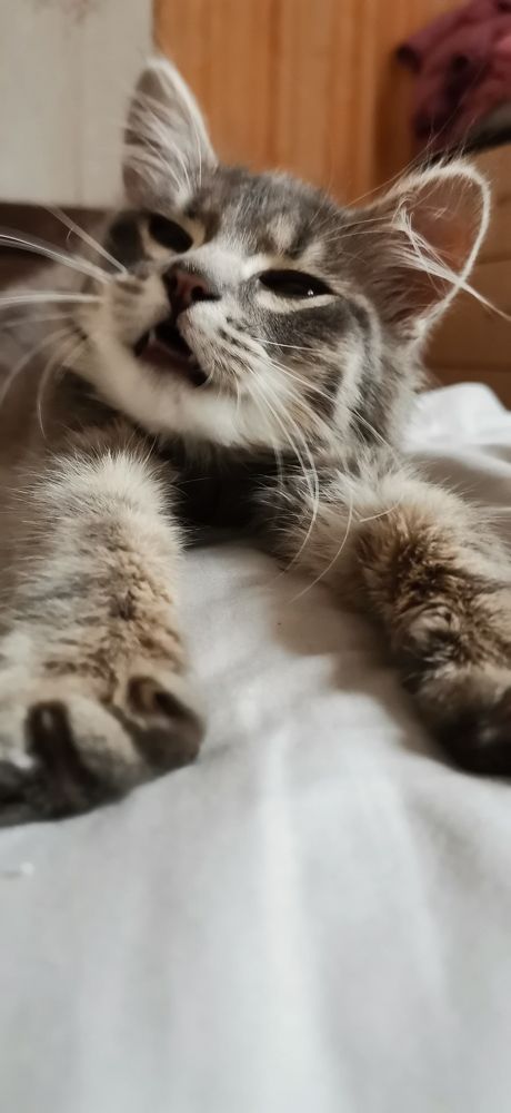 Photograph by Валерия Шкода