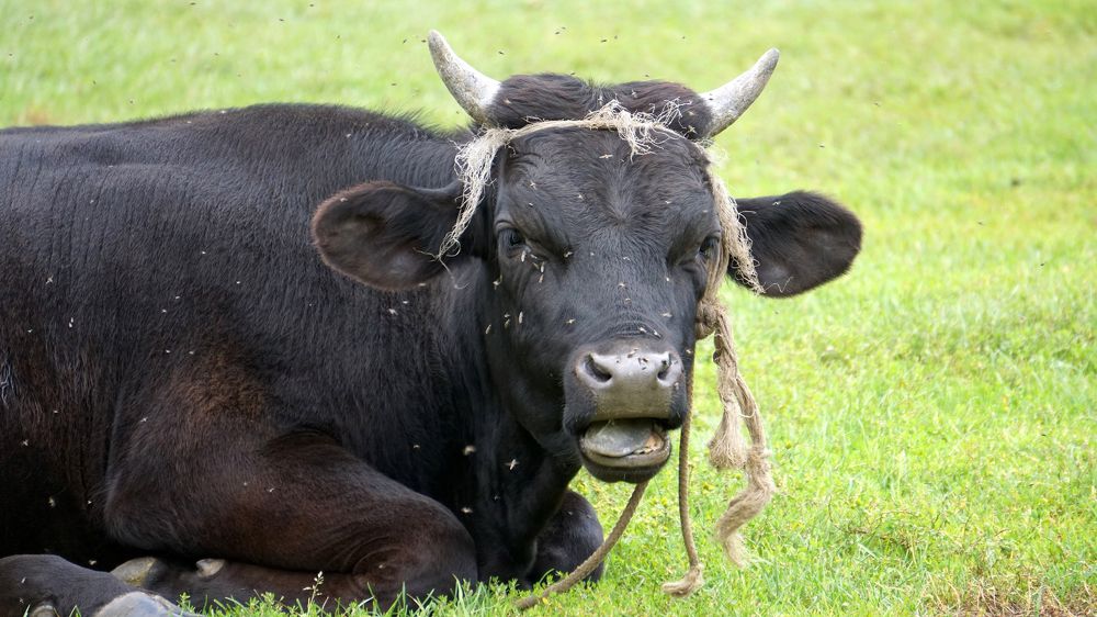 Photograph by Блюмина Елена