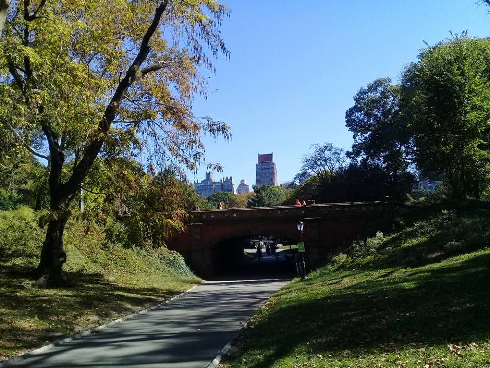 Photograph by Alfredo Cuesta