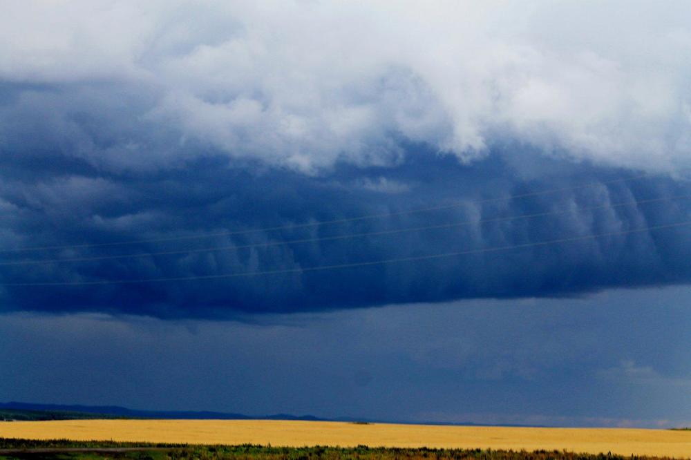 Photograph by Татьяна Перегудова