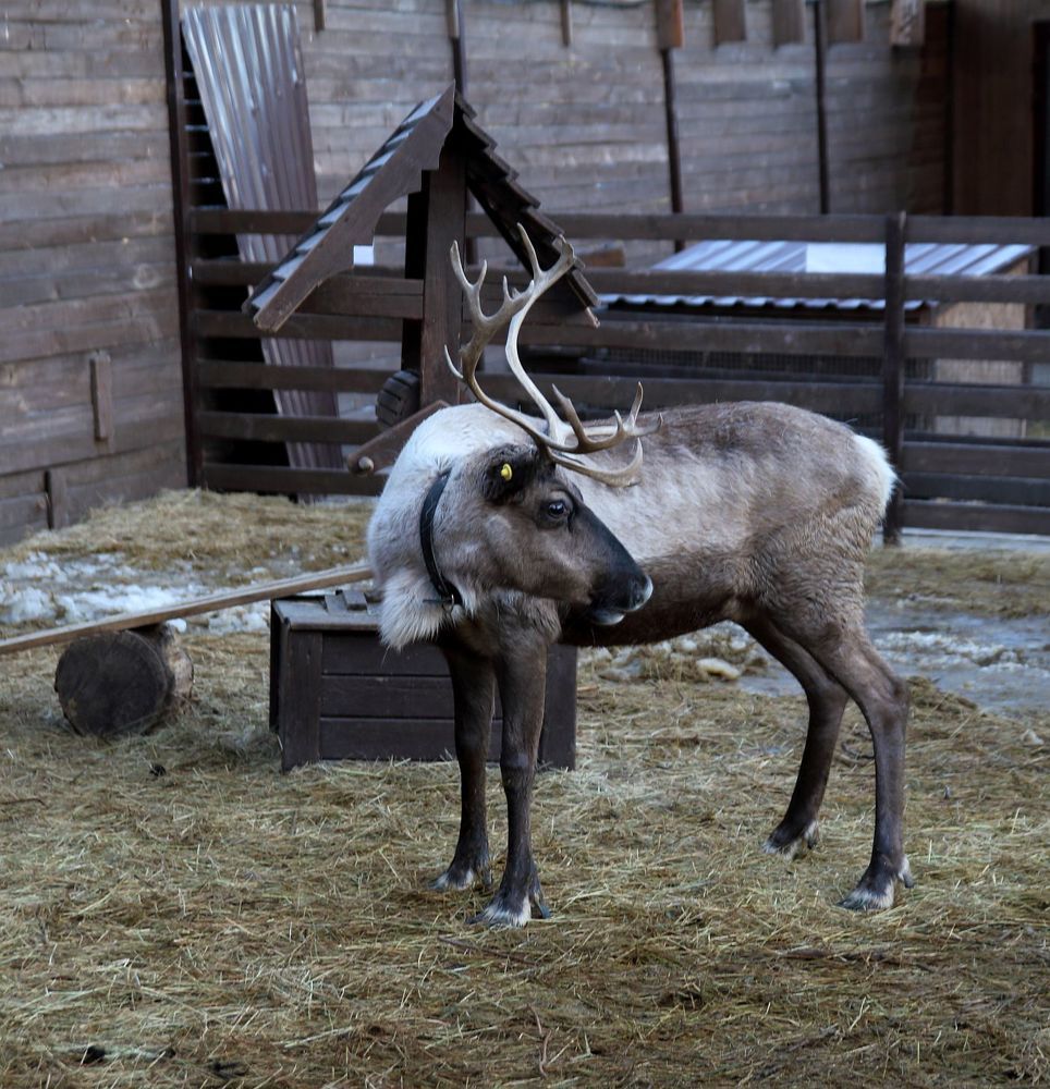 Photograph by Юрий Варюхин