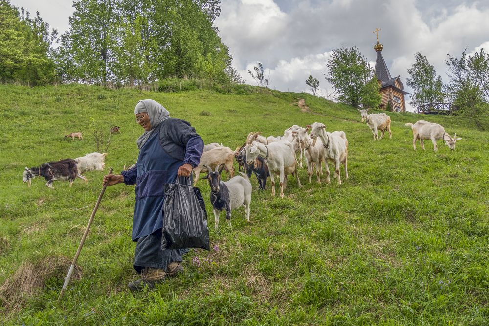 Photograph by Vitaly  Podgurchenko