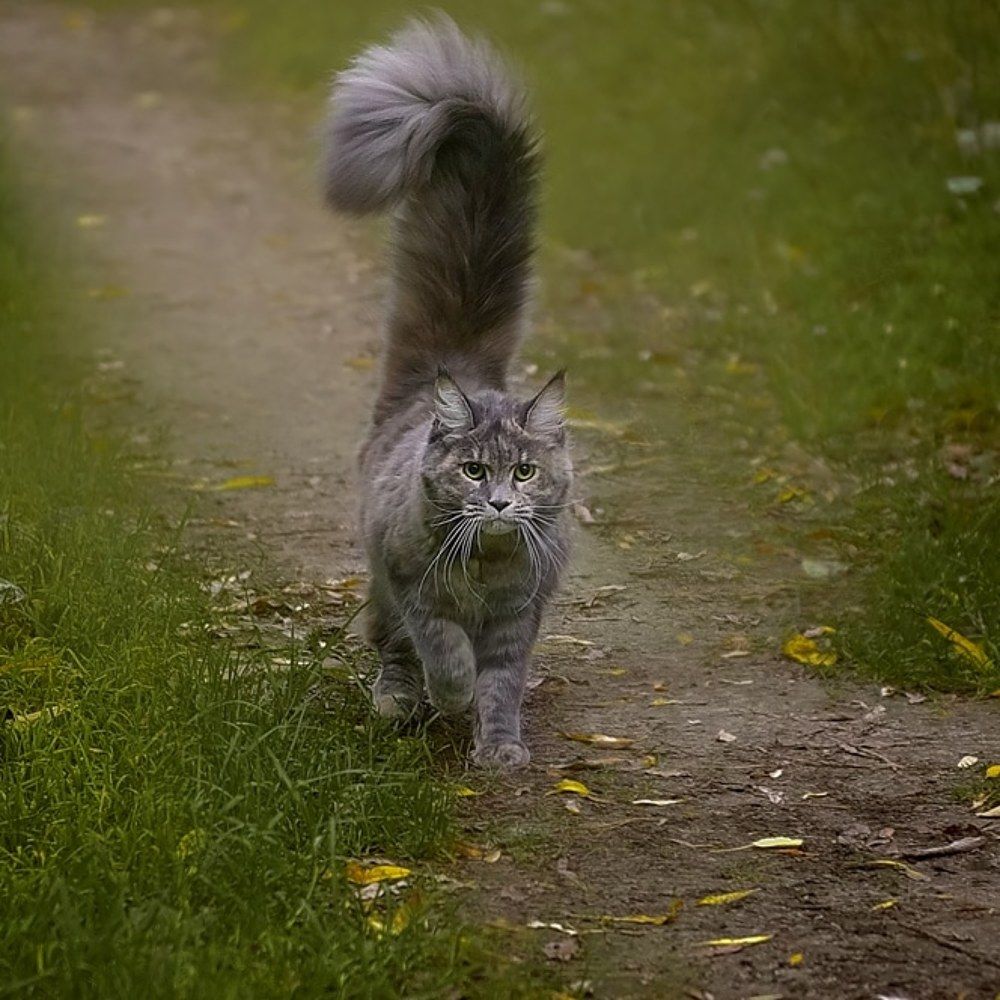 Photograph by Ольга Куницкая