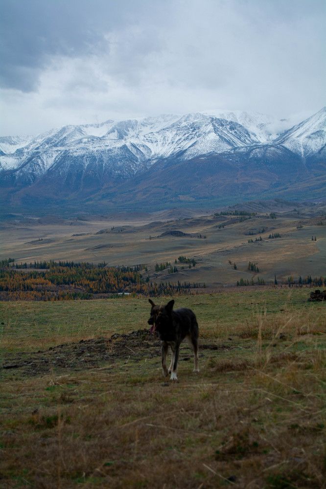 Photograph by Ирина Рудакова