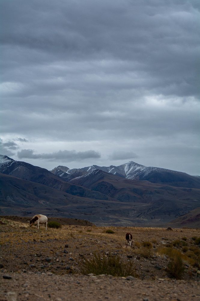 Photograph by Ирина Рудакова