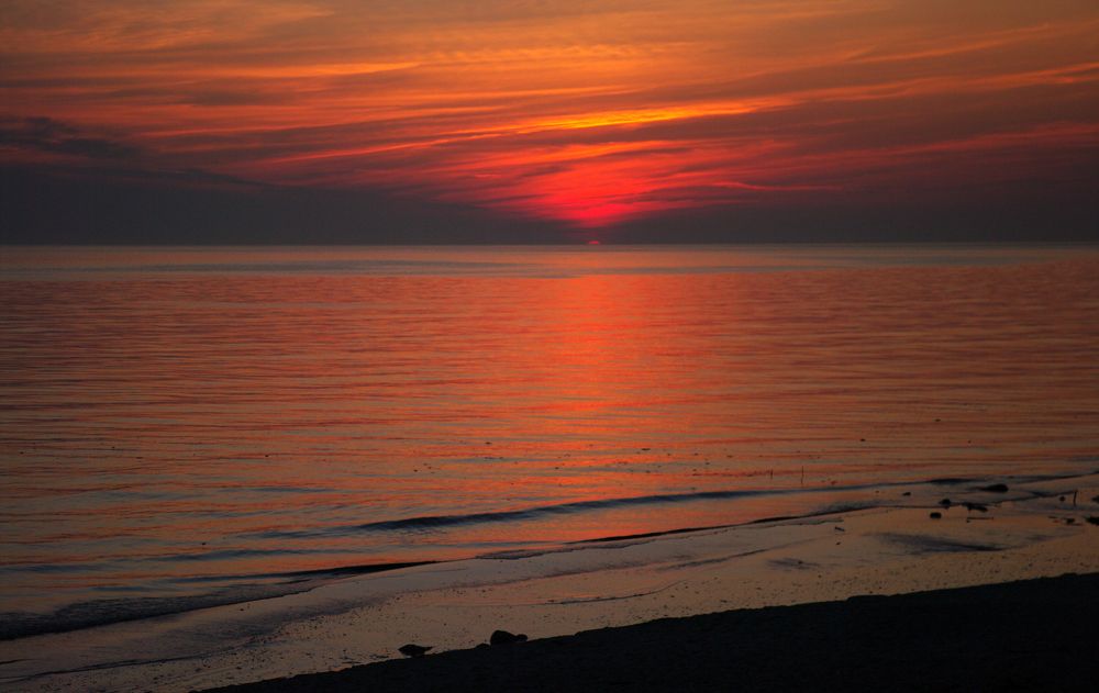 Photograph by Marina Lucenko