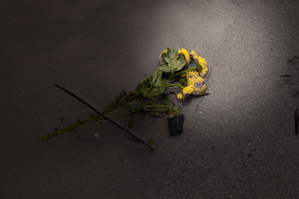 Photograph by Jose Luis Llamazares