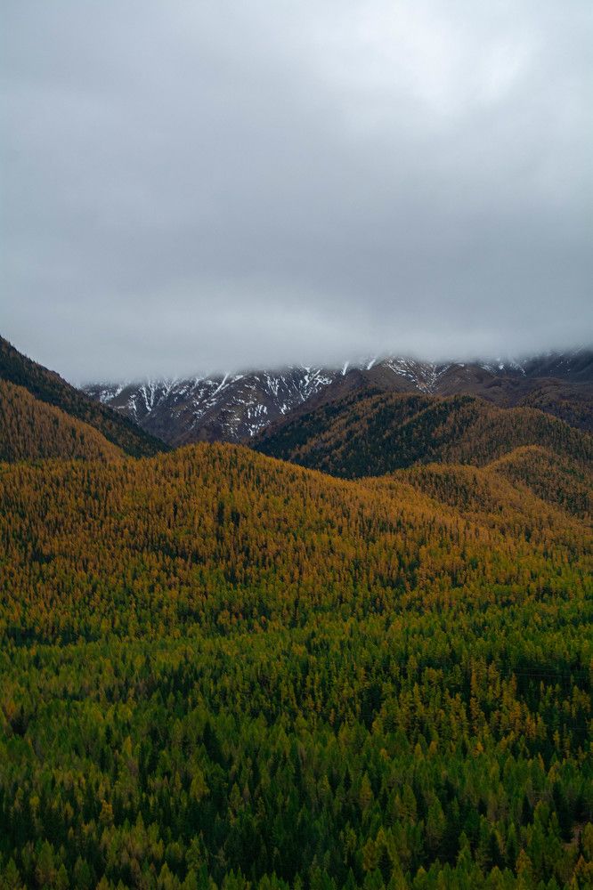 Photograph by Ирина Рудакова