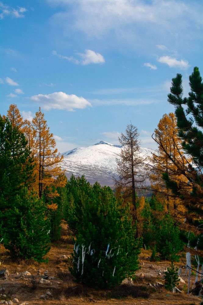 Photograph by Ирина Рудакова