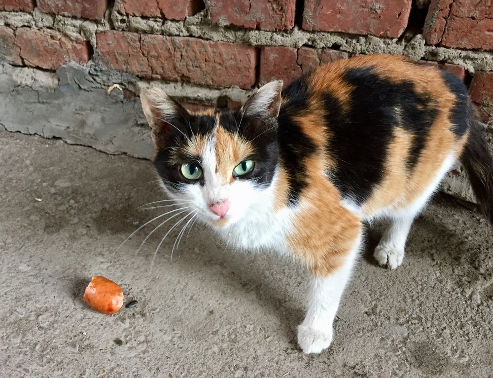 Photograph by Рустэм Жемалетдинов