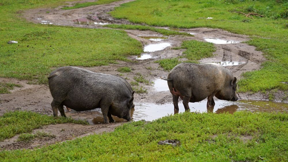 Photograph by Блюмина Елена