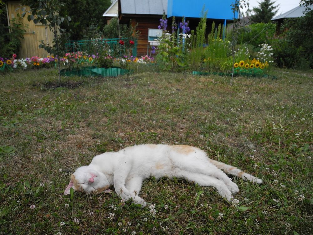 Работничек! Main Worker