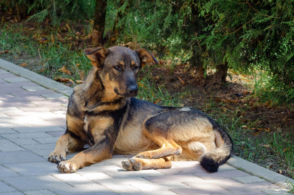 Photograph by Денис Кичев