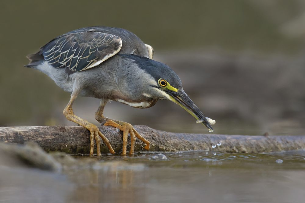 Photograph by Gonzalez Paul Andres