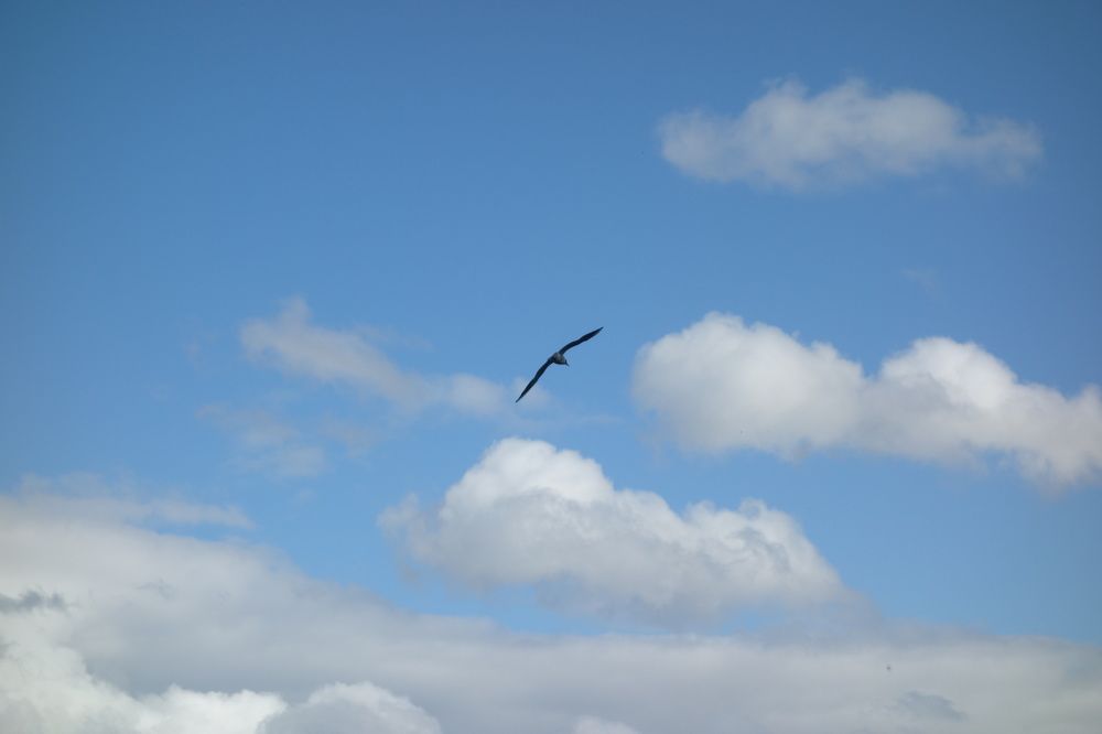 Photograph by Дарья Гришина