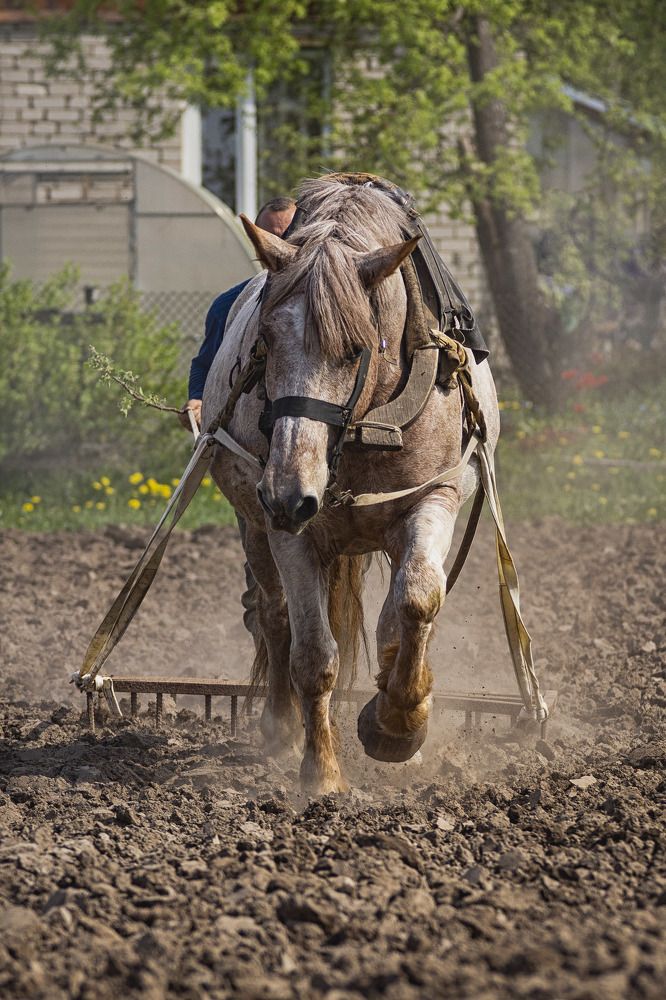 Photograph by Татьяна Шандромайло