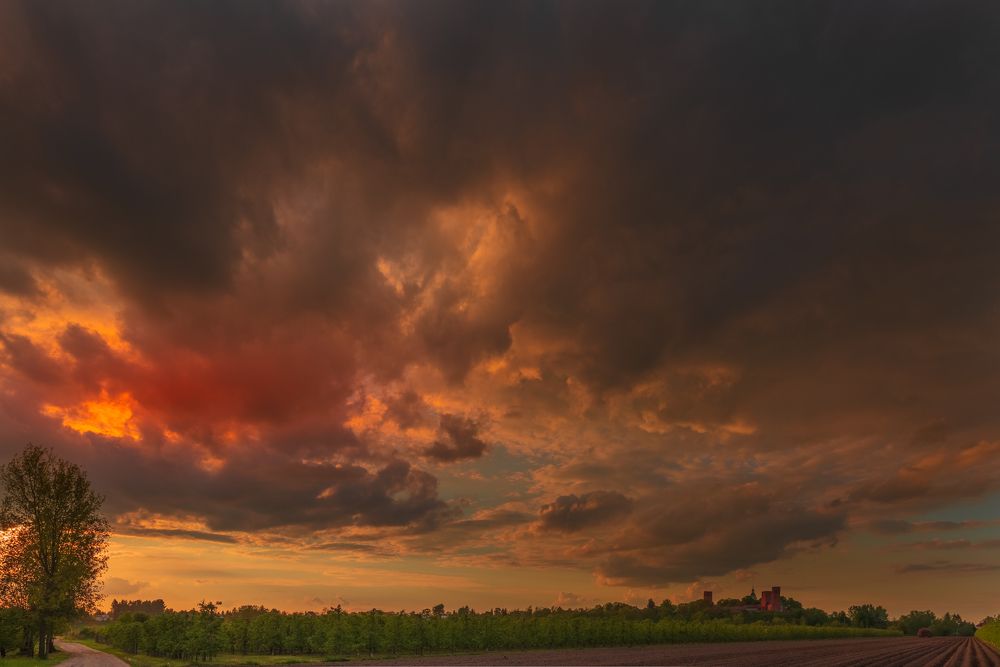 Photograph by Dariusz Budyta