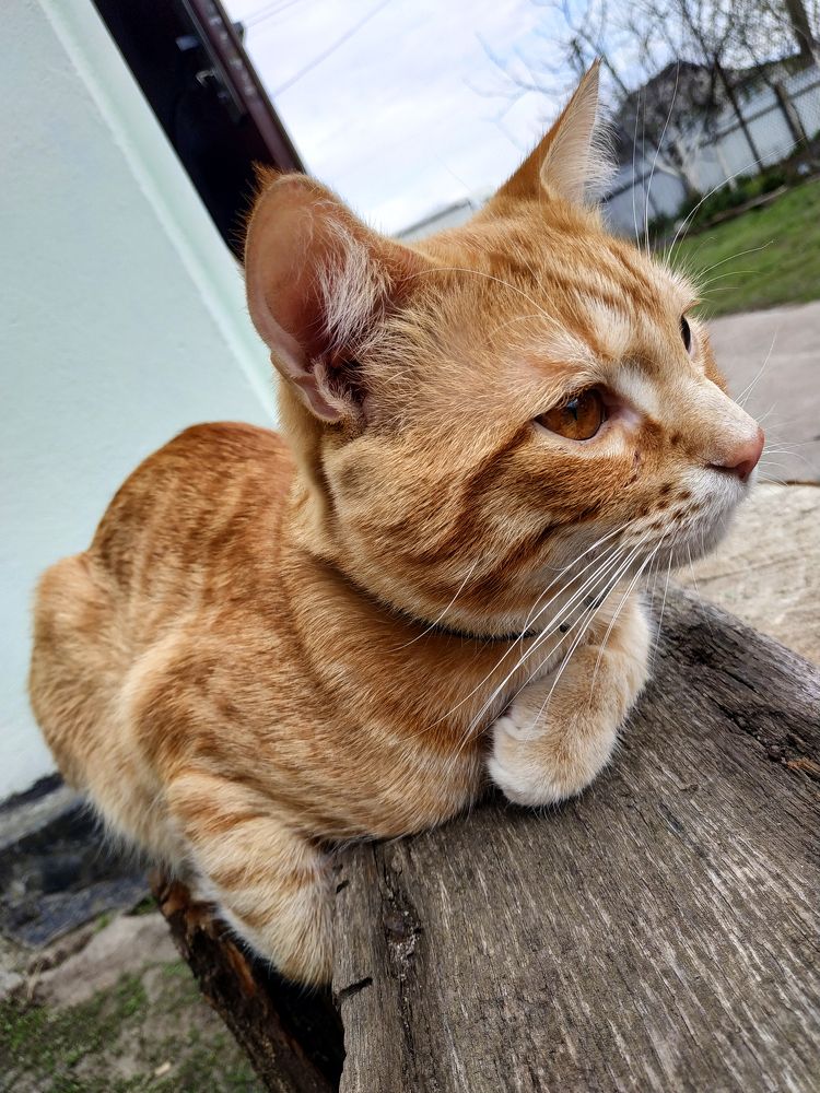 Photograph by Danyliuk Ruslan