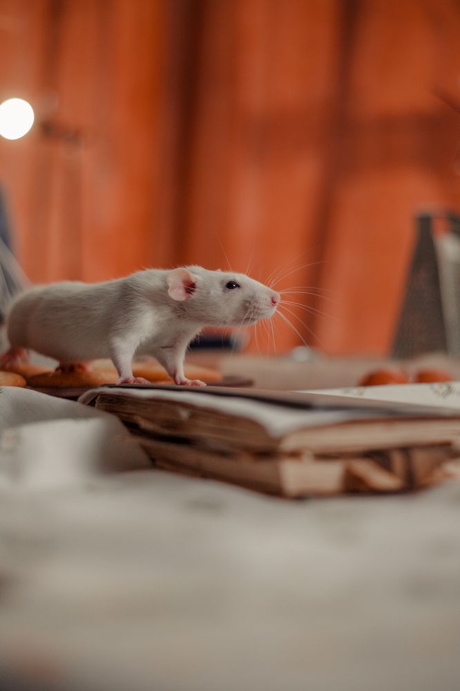 Photograph by Nina Zaytseva