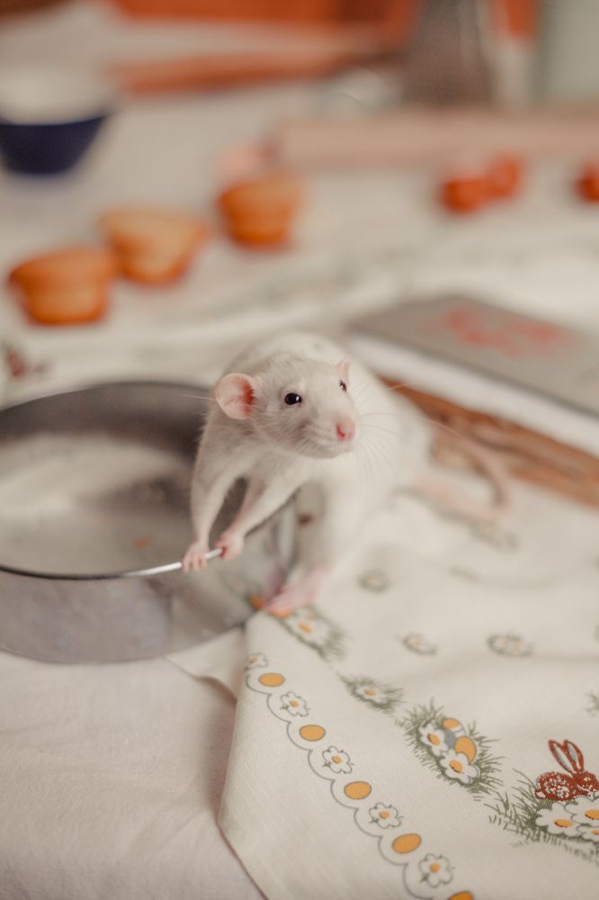 Photograph by Nina Zaytseva