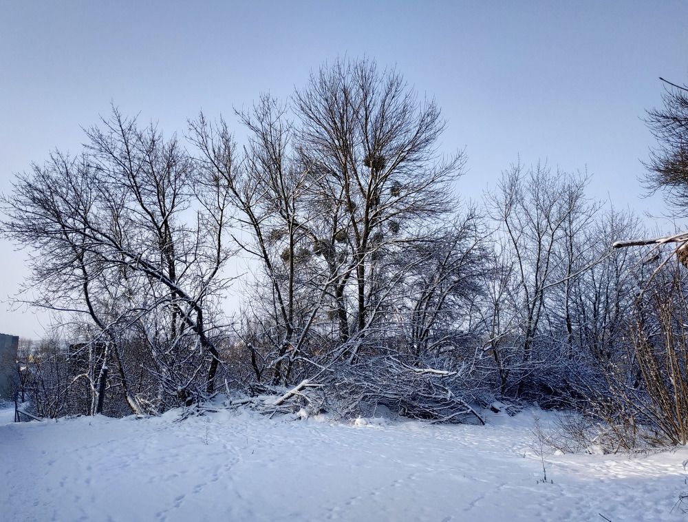 Photograph by Danyliuk Ruslan