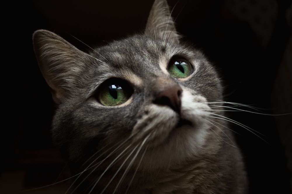 Photograph by Алина Логвиненко