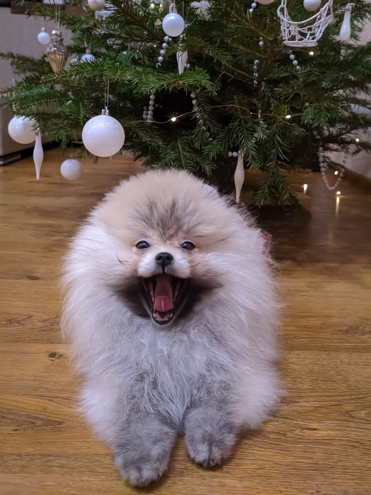 Photograph by Татьяна Сытова