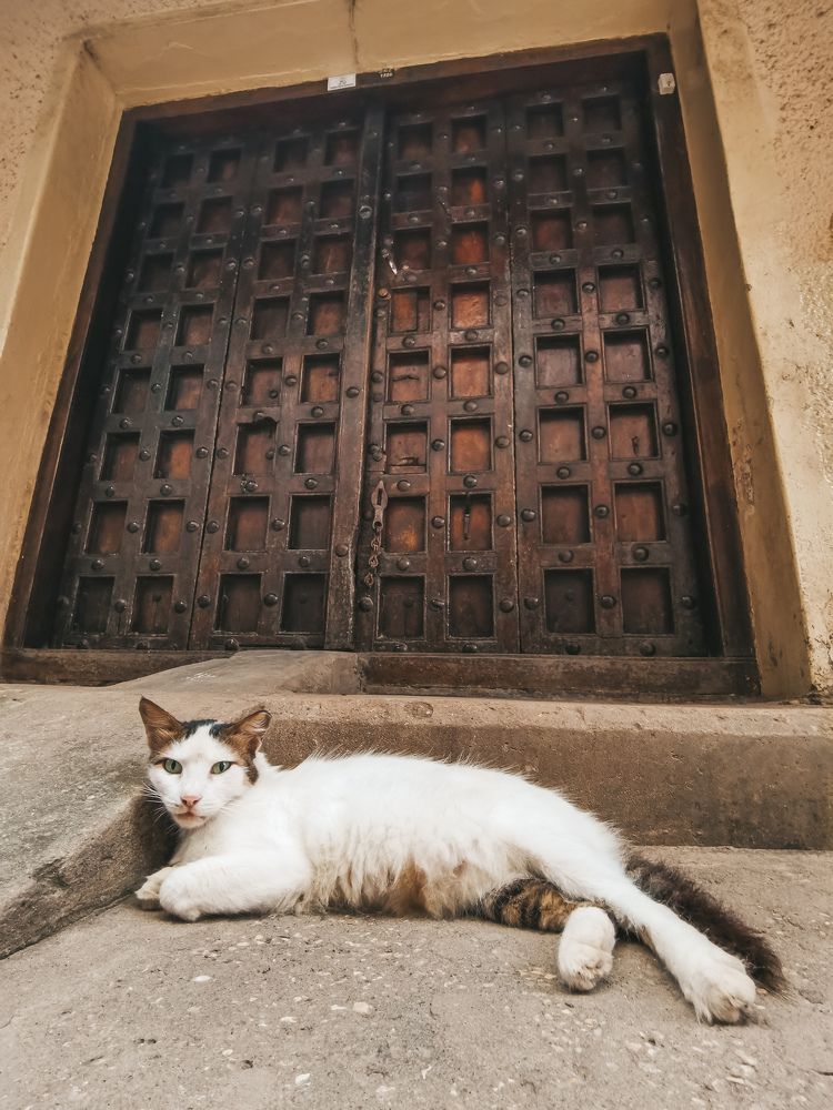 Photograph by Евгений