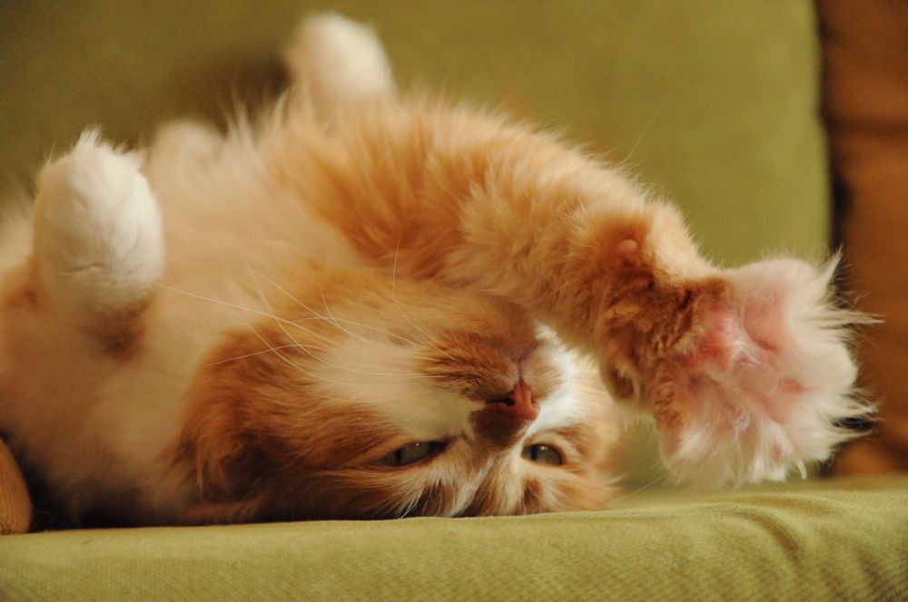 Photograph by Светлана Салмина