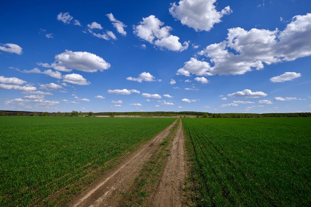 По дороге с облаками
