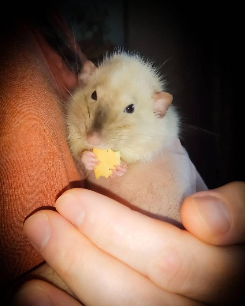 Photograph by Татьяна Сытова